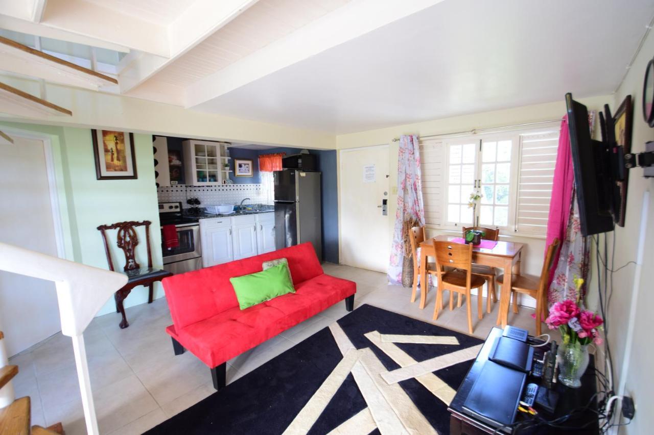 River Side Apt 9 @ Mystic Ridge. Ocho Rios Exteriér fotografie